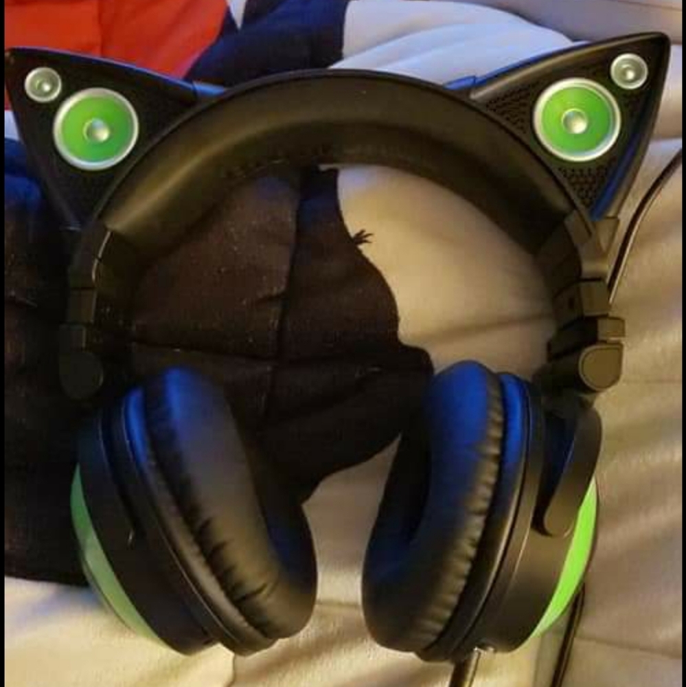 Brookstone cat ear light up headphones